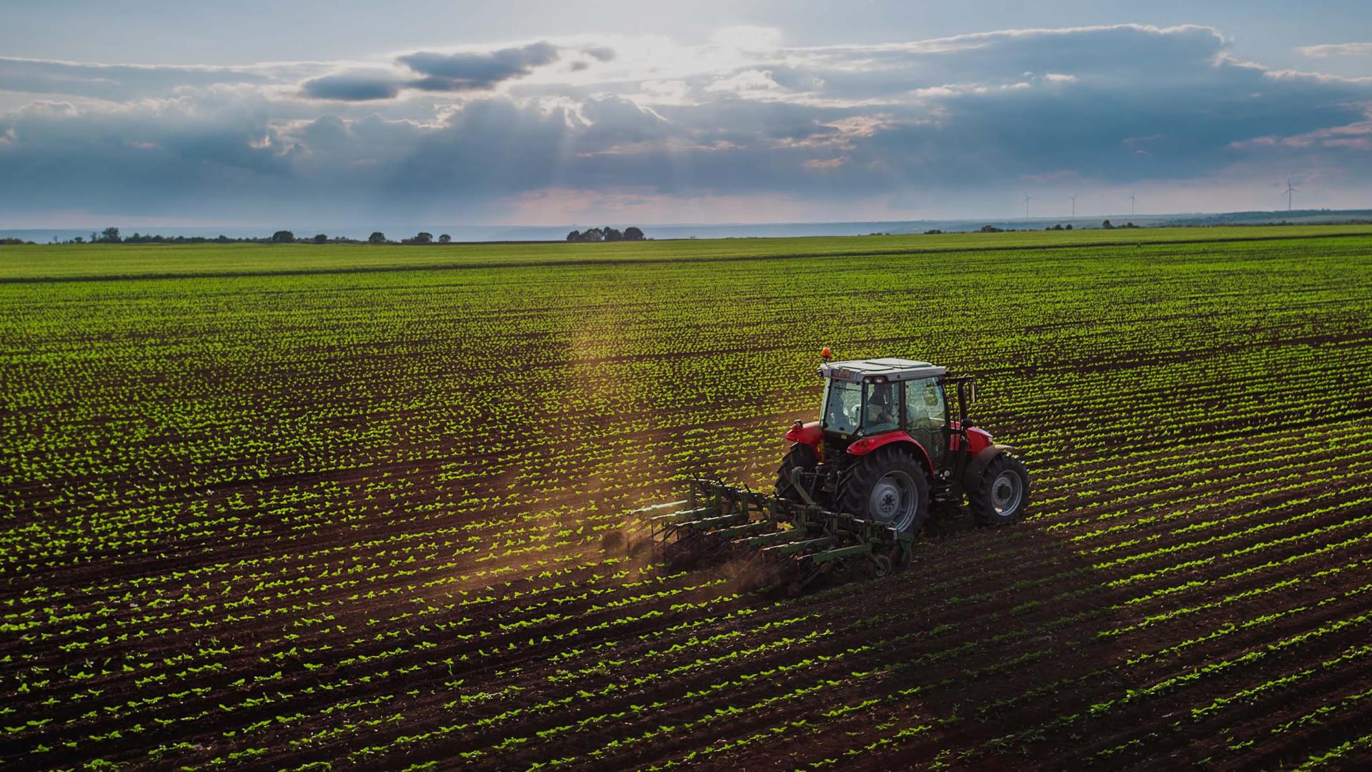 Complete Farm Insurance Guide: Protecting Your Agricultural Business